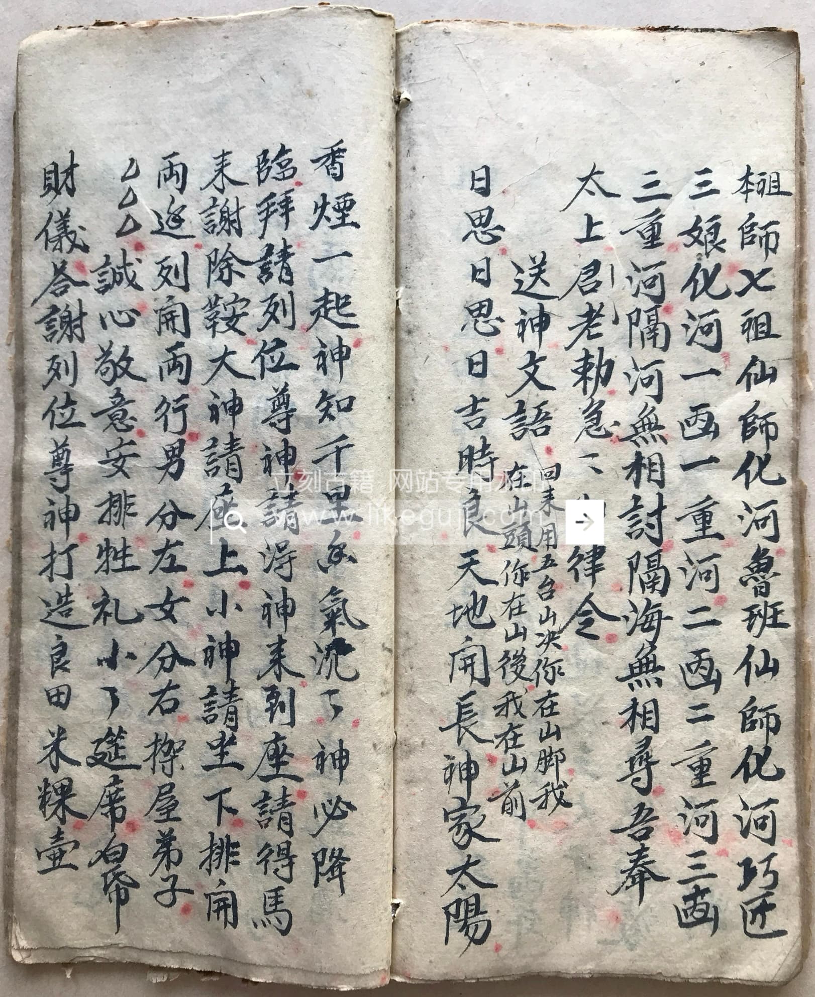 IMG_0176.jpg