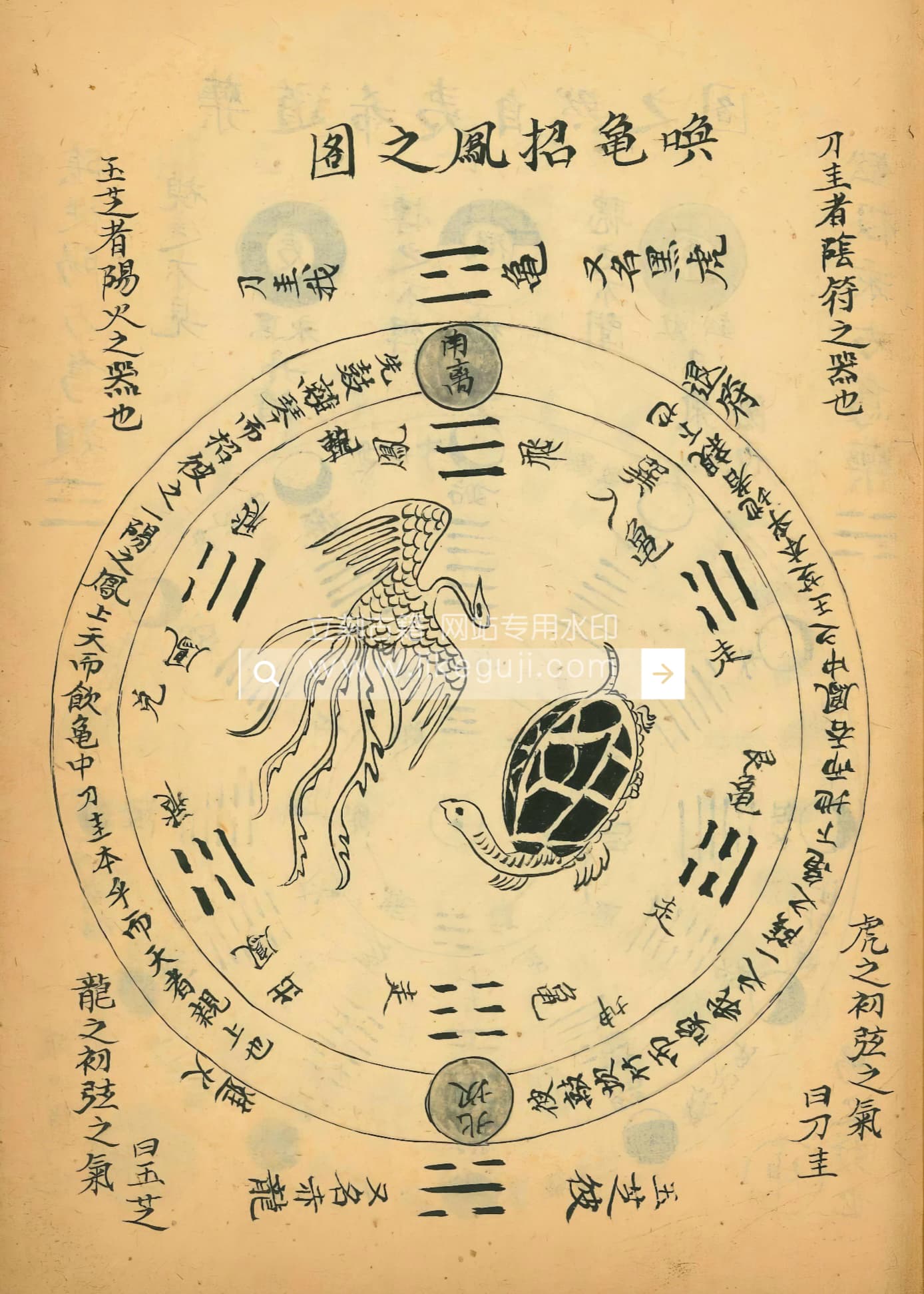 丹丸图注拣选 (丹丸圖注揀選) - 立刻古籍
