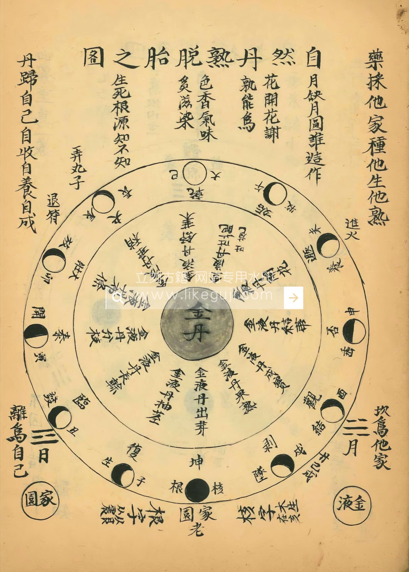 丹丸图注拣选 (丹丸圖注揀選) - 立刻古籍