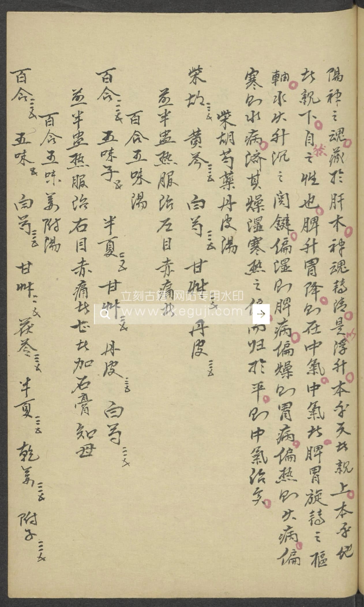 IMG_4008.JPG