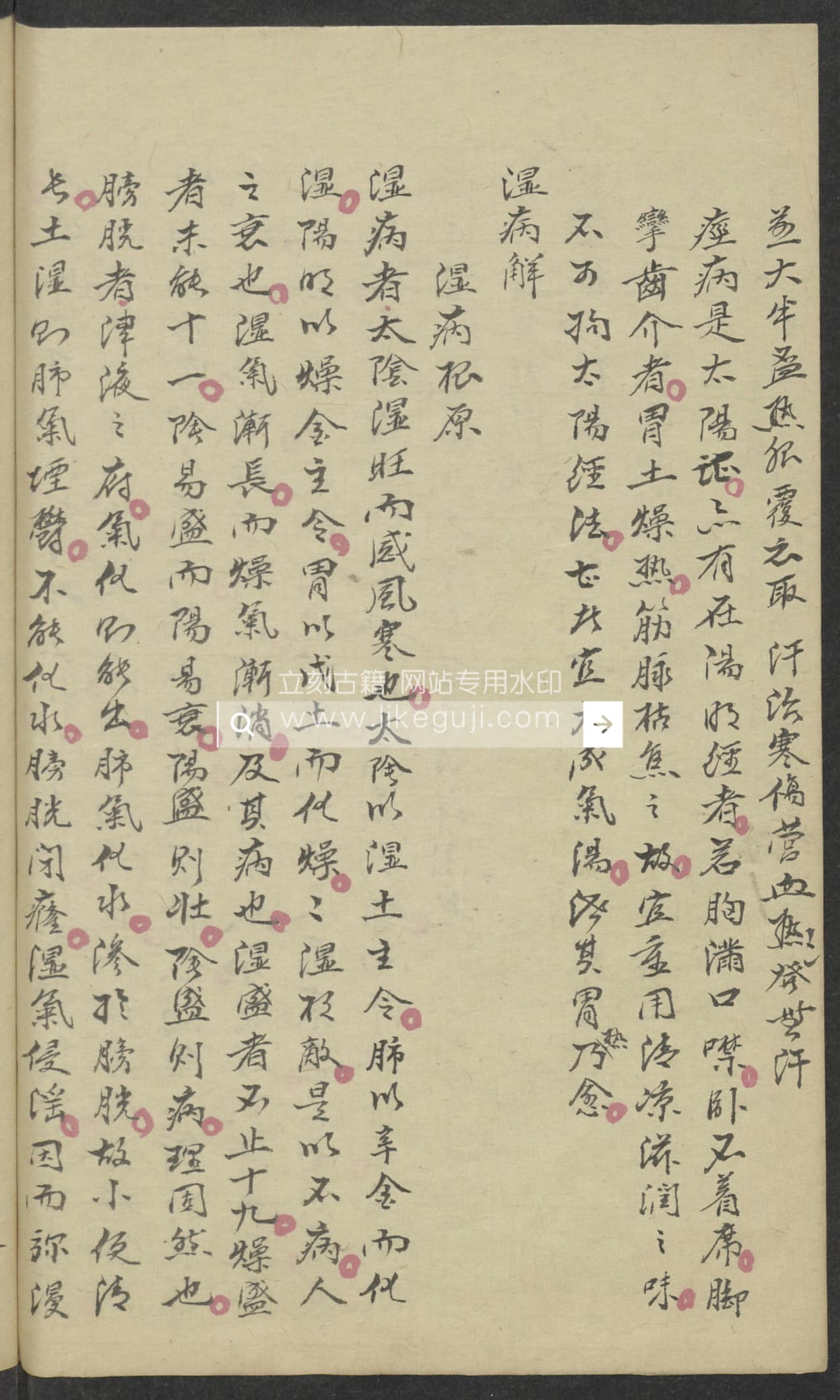 IMG_4002.JPG