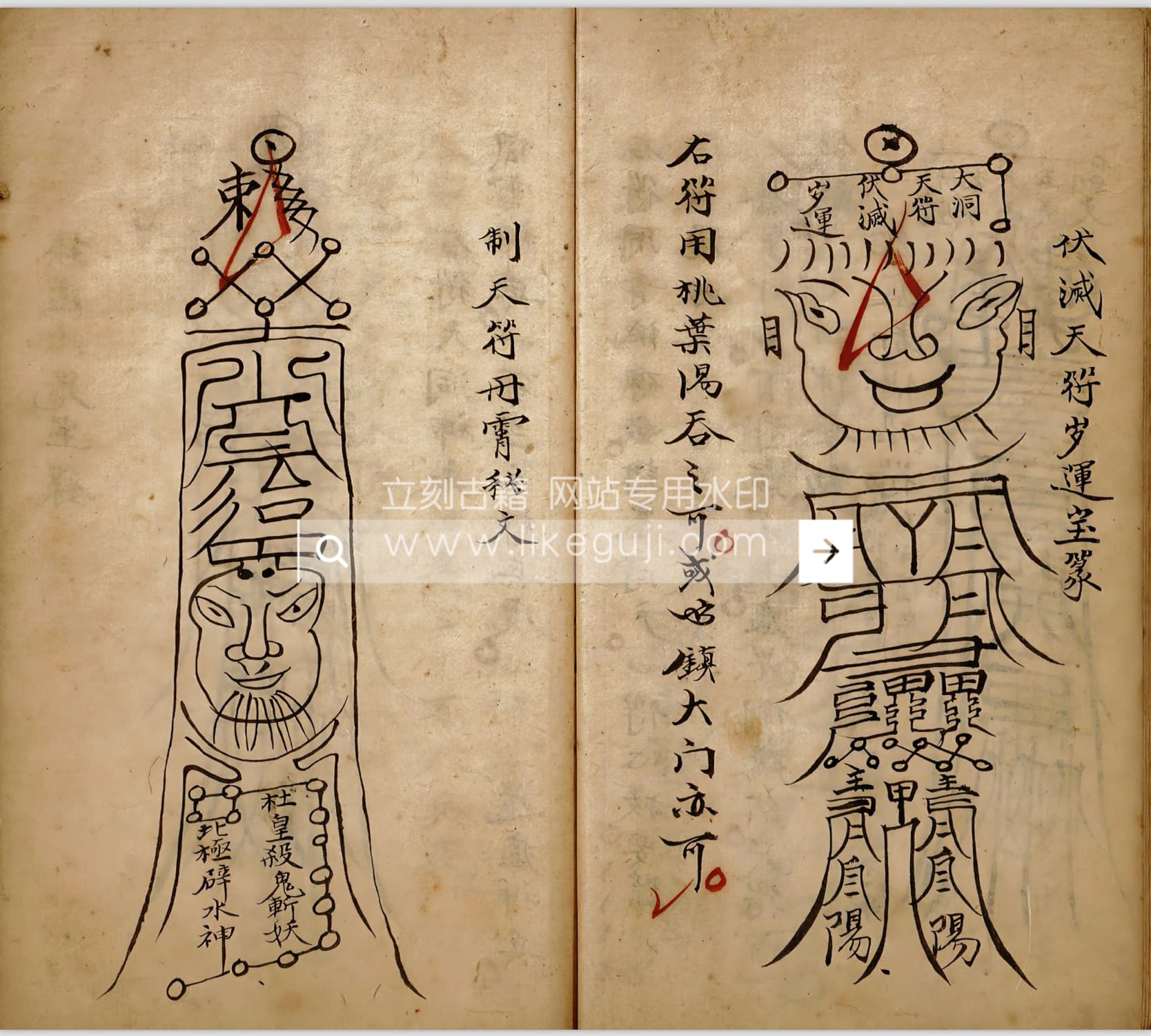 IMG_7762.jpg