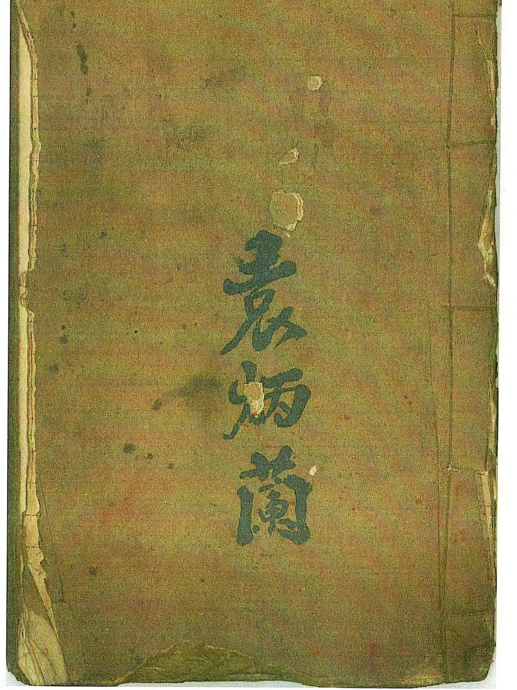 道医瘟疫（道醫瘟疫）